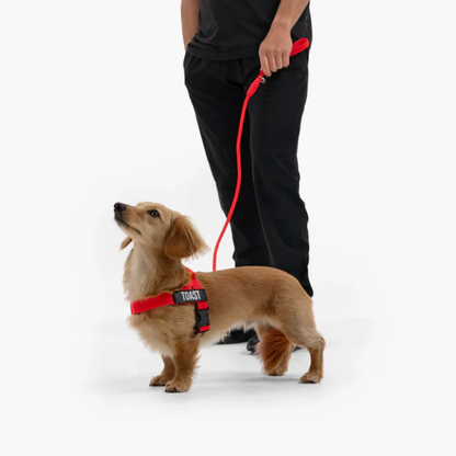 Psi Komfort Pro™ –  Spacer bez ciągnięcia