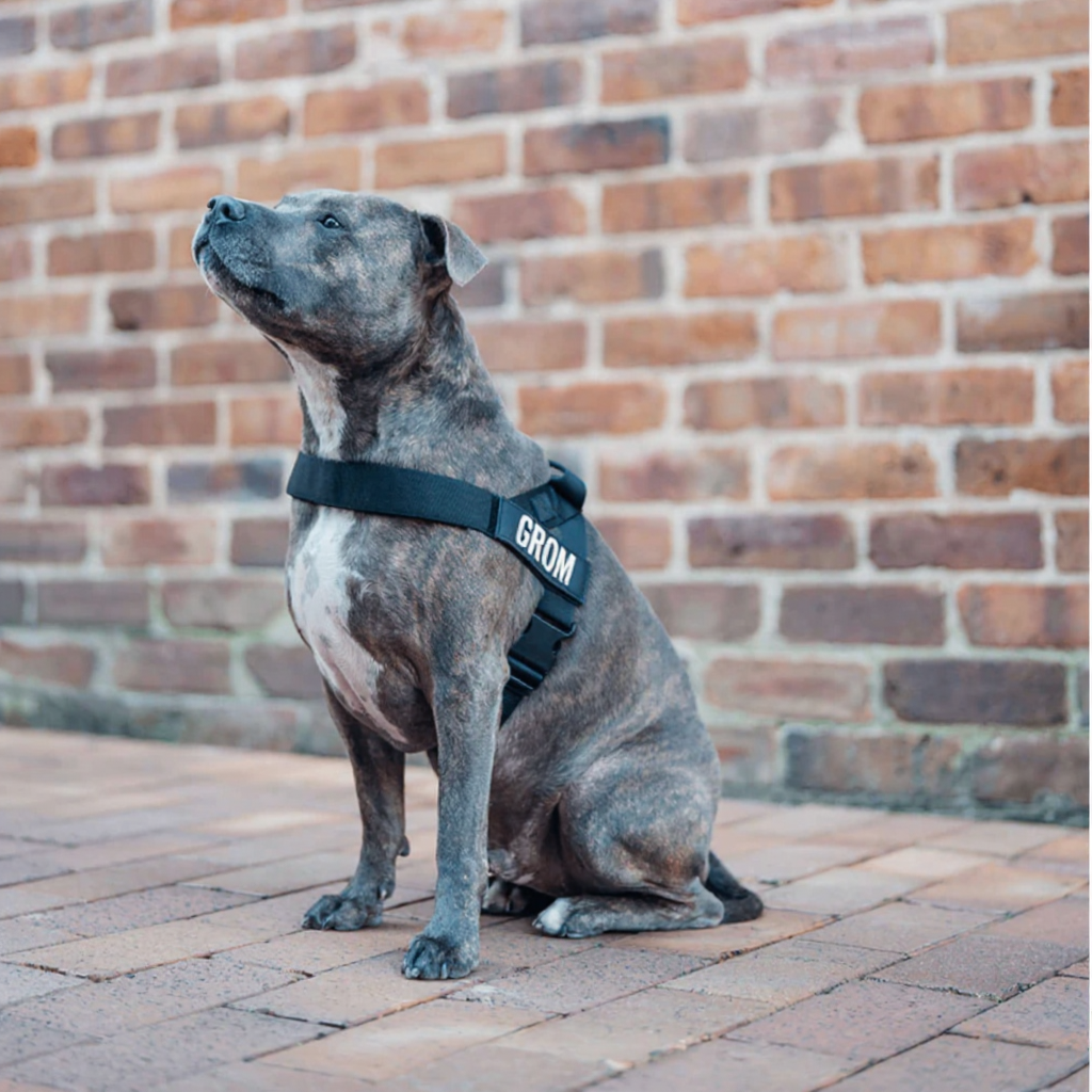 Psi Komfort Pro™ –  Spacer bez ciągnięcia