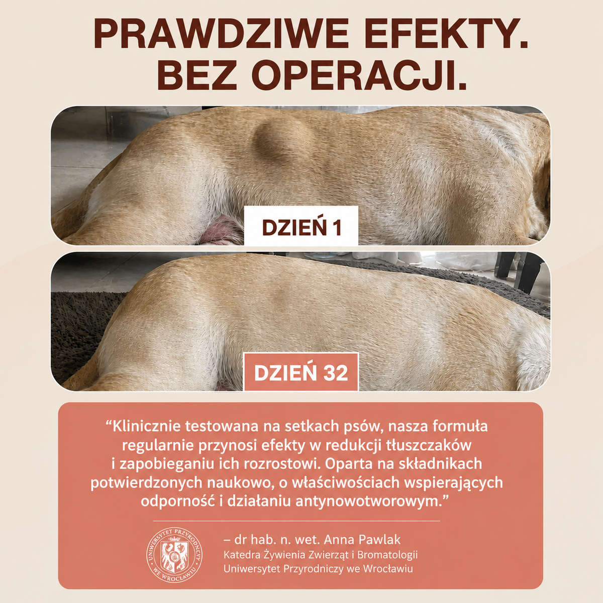 Długowieczność+