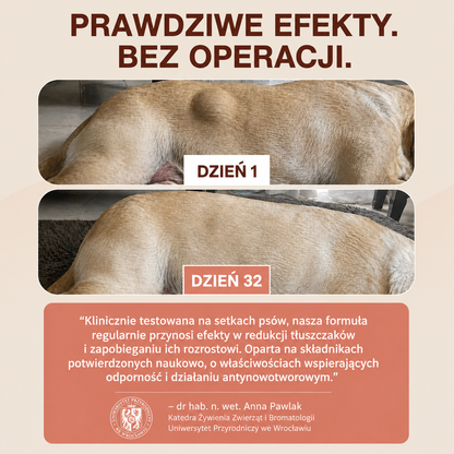 Długowieczność+
